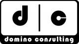 logo DOMINO Consulting